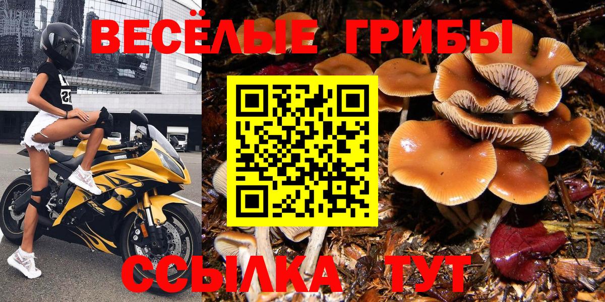 Галлюциногенные грибы ЛСД  Вход с VPN  Краснознаменск 