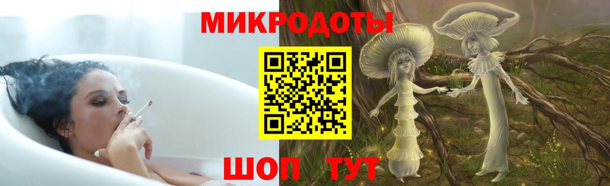 Псилоцибиновые грибы Psilocybe Краснознаменск