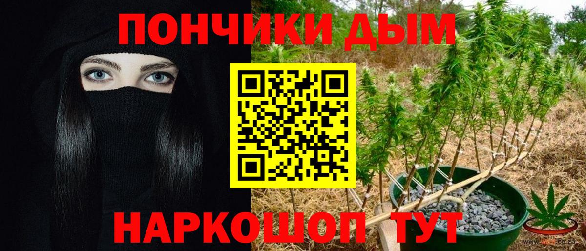 МАРИХУАНА гибрид  Вход с VPN  Конопля сатива  МАРИХУАНА SATIVA & INDICA  Краснознаменск  Бошки марихуана MAZAR 